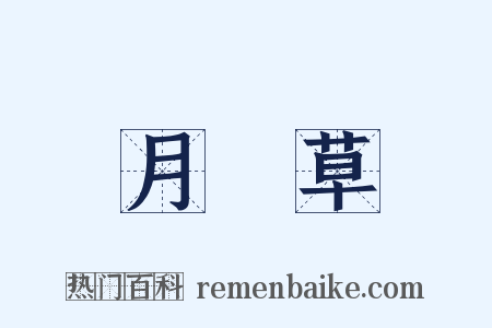 月見草是什么意思的图片